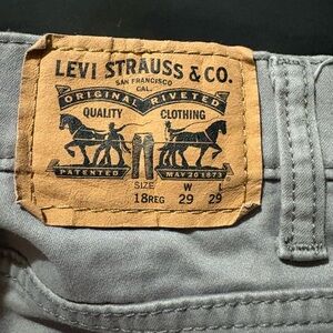 Levi's Gray Slim Men Jeans